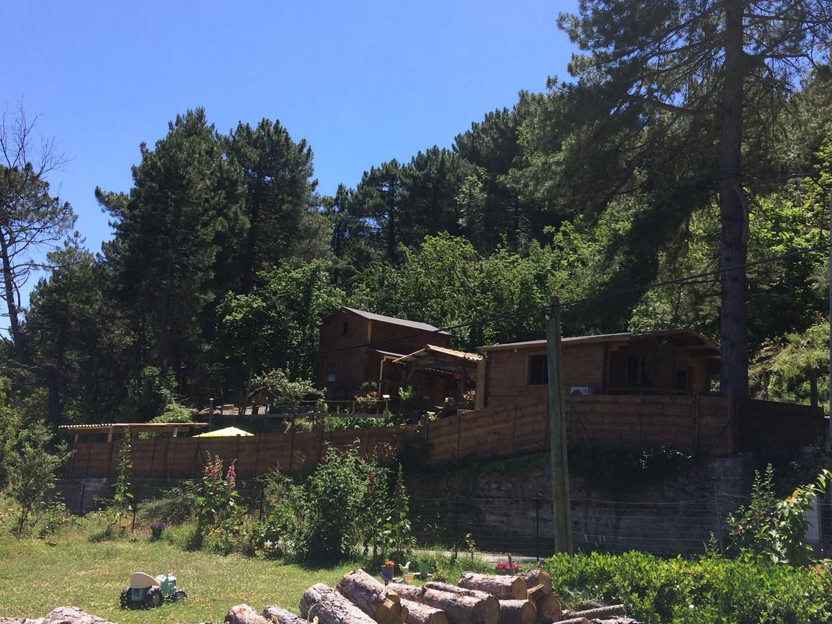 Gites Les Chalets Vezzani Spa Екстер'єр фото
